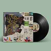 Time Skiffs (2Lp/Dl Card): ANIMAL COLLECTIVE: Amazon.ca: Music